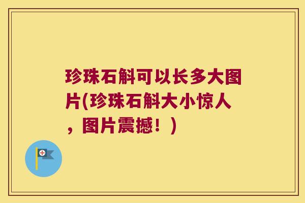 珍珠石斛可以长多大图片(珍珠石斛大小惊人，图片震撼！)