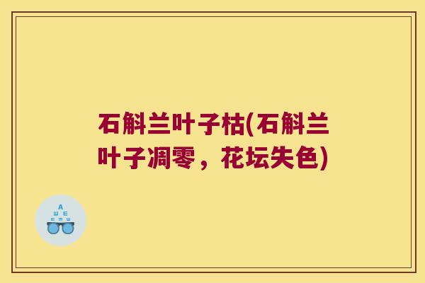 石斛兰叶子枯(石斛兰叶子凋零,花坛失色) 石斛兰叶子枯(石斛兰叶子凋零,花坛失色)