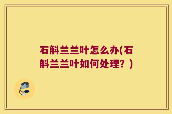 石斛兰兰叶怎么办(石斛兰兰叶如何处理？)