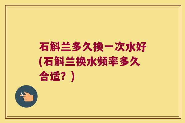 石斛兰多久换一次水好(石斛兰换水频率多久合适？)