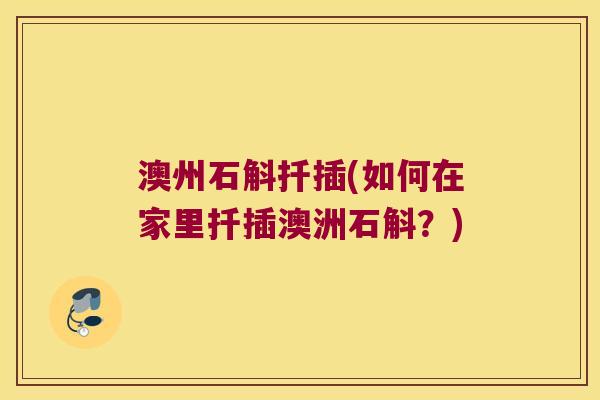 澳州石斛扦插(如何在家里扦插澳洲石斛？)