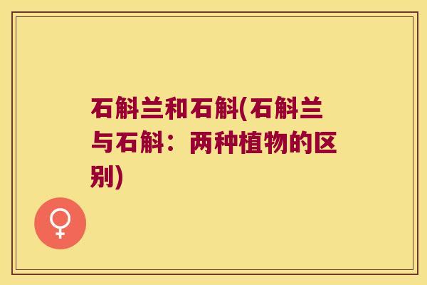 石斛兰和石斛(石斛兰与石斛：两种植物的区别)