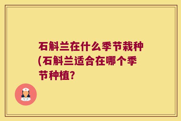 石斛兰在什么季节栽种(石斛兰适合在哪个季节种植？