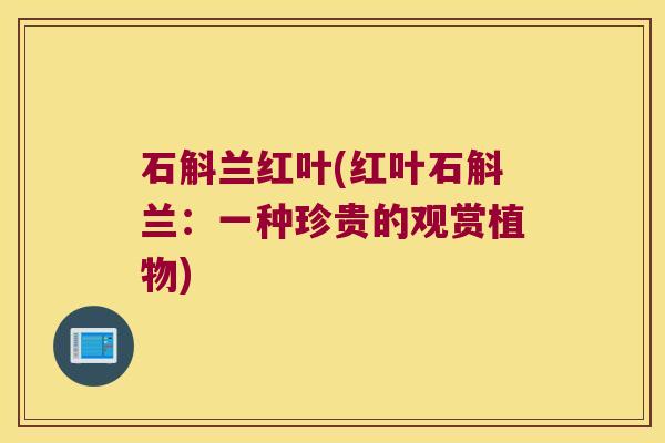 石斛兰红叶(红叶石斛兰：一种珍贵的观赏植物)