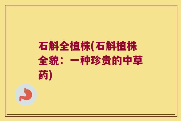 石斛全植株(石斛植株全貌：一种珍贵的中草药)