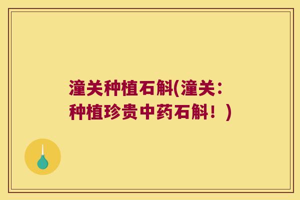 潼关种植石斛(潼关：种植珍贵中药石斛！)