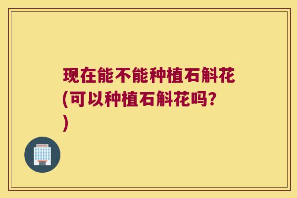 现在能不能种植石斛花(可以种植石斛花吗？)