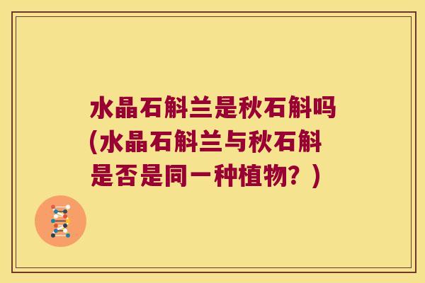 水晶石斛兰是秋石斛吗(水晶石斛兰与秋石斛是否是同一种植物?) 水晶石斛兰是秋石斛吗(水晶石斛兰与秋石斛是否是同一种植物?)