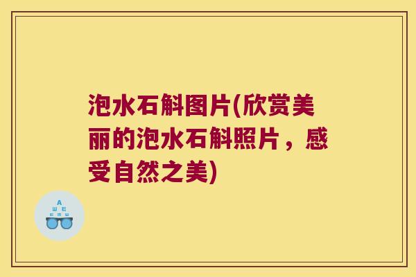 泡水石斛图片(欣赏美丽的泡水石斛照片，感受自然之美)