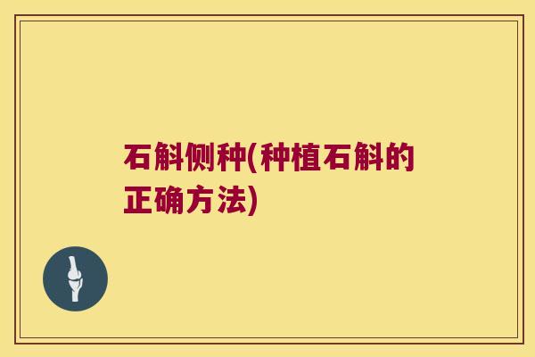 石斛侧种(种植石斛的正确方法) 石斛侧种(种植石斛的正确方法)