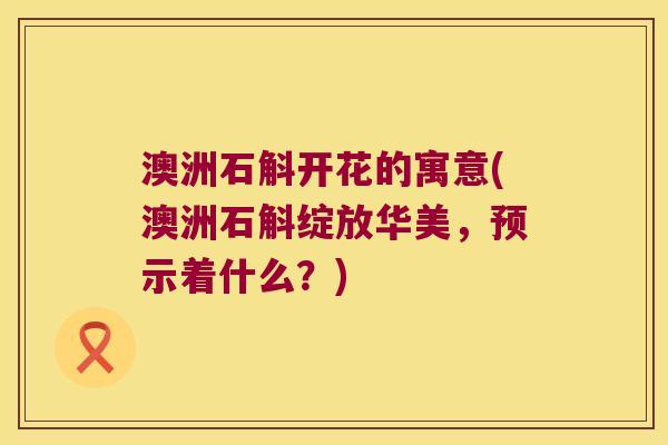 澳洲石斛开花的寓意(澳洲石斛绽放华美，预示着什么？)
