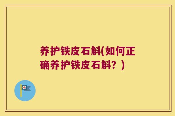 养护铁皮石斛(如何正确养护铁皮石斛？)
