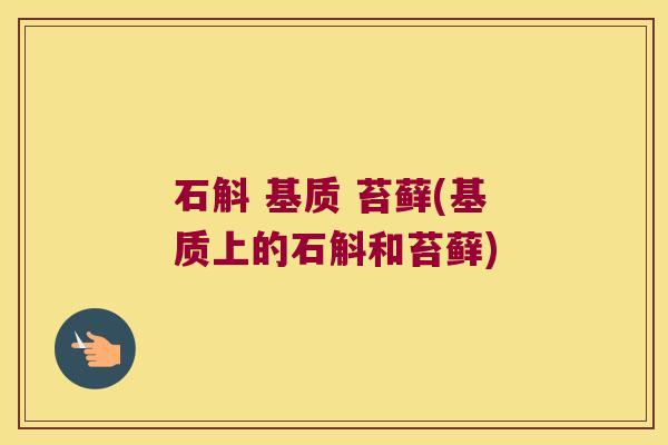 石斛 基质 苔藓(基质上的石斛和苔藓)
