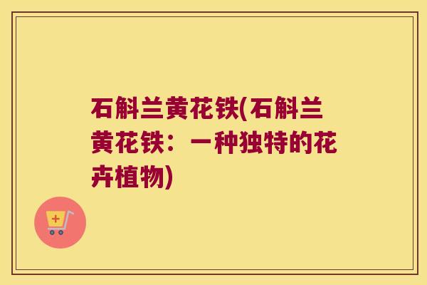 石斛兰黄花铁(石斛兰黄花铁：一种独特的花卉植物)