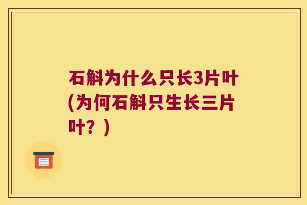 石斛为什么只长3片叶(为何石斛只生长三片叶？)