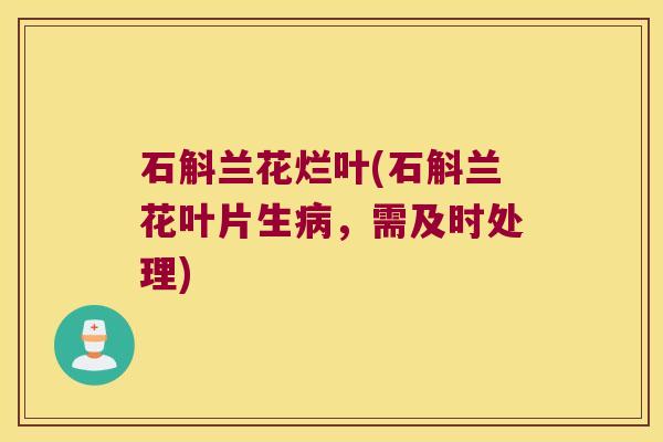 石斛兰花烂叶(石斛兰花叶片生病，需及时处理)