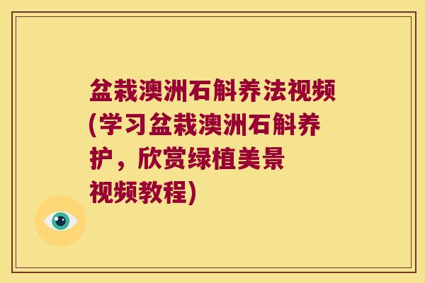 盆栽澳洲石斛养法视频(学习盆栽澳洲石斛养护，欣赏绿植美景  视频教程)