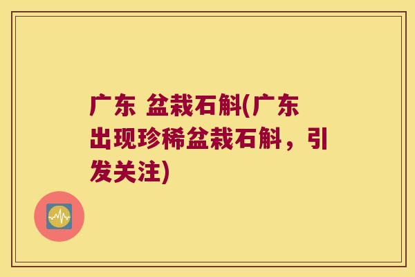 广东 盆栽石斛(广东出现珍稀盆栽石斛，引发关注)