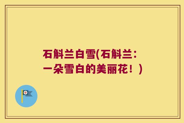 石斛兰白雪(石斛兰：一朵雪白的美丽花！)