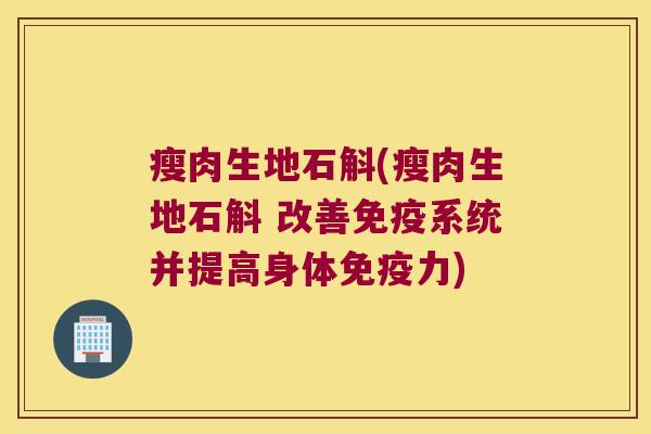 瘦肉生地石斛(瘦肉生地石斛 改善免疫系统并提高身体免疫力)