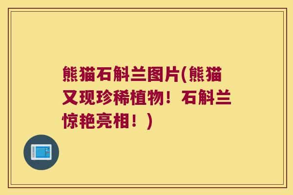 熊猫石斛兰图片(熊猫又现珍稀植物！石斛兰惊艳亮相！)
