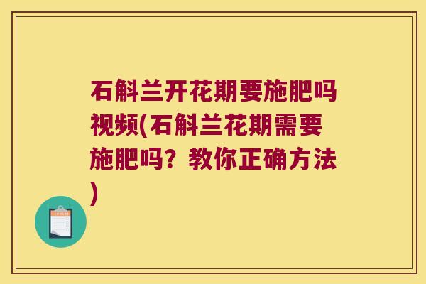 石斛兰开花期要施肥吗视频(石斛兰花期需要施肥吗？教你正确方法)