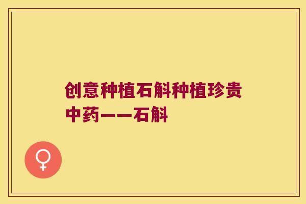 创意种植石斛种植珍贵中药——石斛