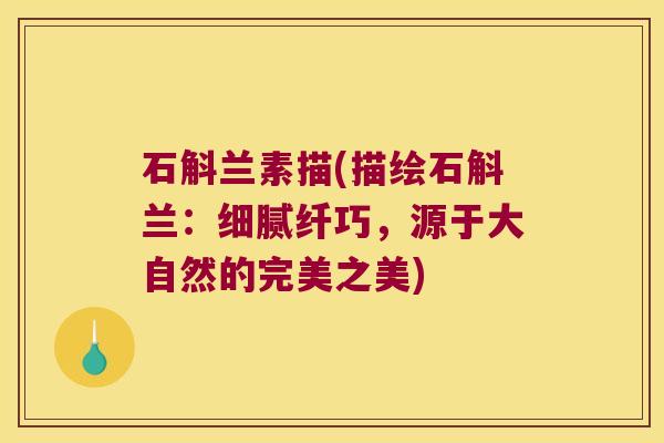 石斛兰素描(描绘石斛兰：细腻纤巧，源于大自然的完美之美)
