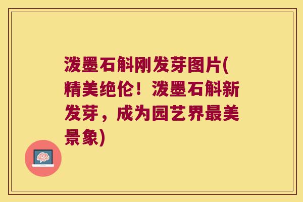 泼墨石斛刚发芽图片(精美绝伦！泼墨石斛新发芽，成为园艺界最美景象)