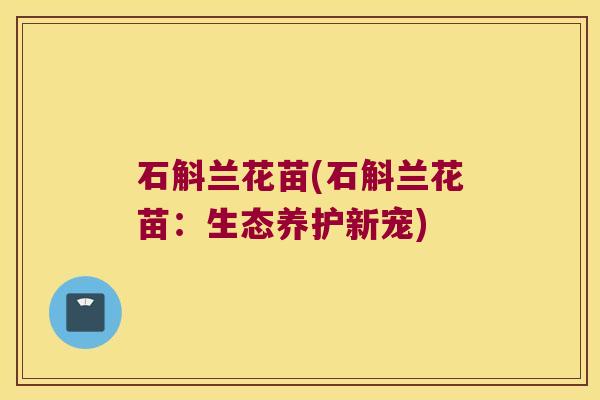 石斛兰花苗(石斛兰花苗：生态养护新宠)