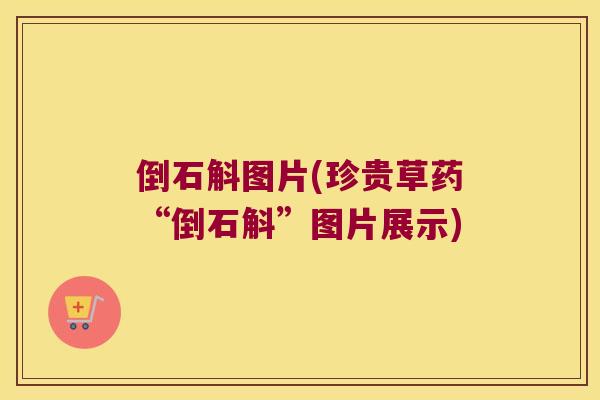 倒石斛图片(珍贵草药“倒石斛”图片展示)