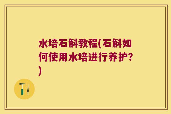 水培石斛教程(石斛如何使用水培进行养护？)