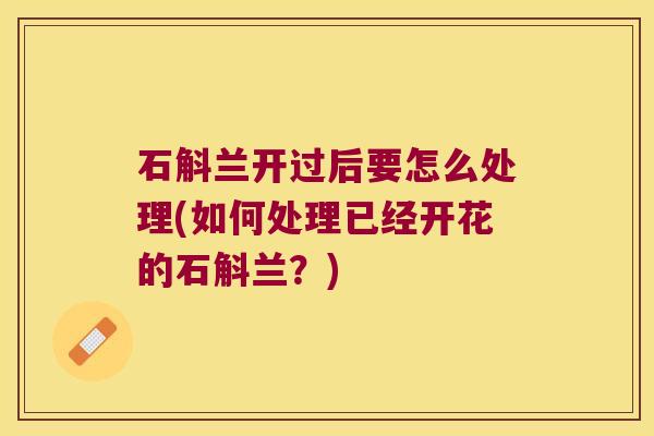 石斛兰开过后要怎么处理(如何处理已经开花的石斛兰？)
