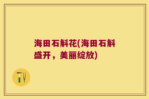 海田石斛花(海田石斛盛开，美丽绽放)