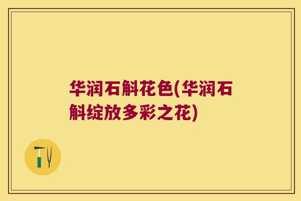 华润石斛花色(华润石斛绽放多彩之花)