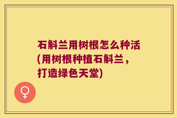 石斛兰用树根怎么种活(用树根种植石斛兰，打造绿色天堂)