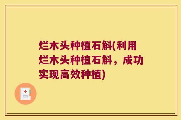 烂木头种植石斛(利用烂木头种植石斛，成功实现高效种植)