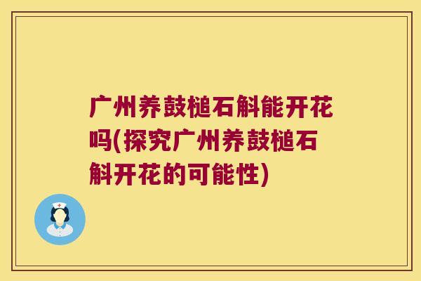 广州养鼓槌石斛能开花吗(探究广州养鼓槌石斛开花的可能性) 广州养鼓槌石斛能开花吗(探究广州养鼓槌石斛开花的可能性)