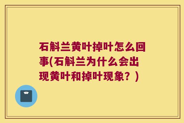 石斛兰黄叶掉叶怎么回事(石斛兰为什么会出现黄叶和掉叶现象？)