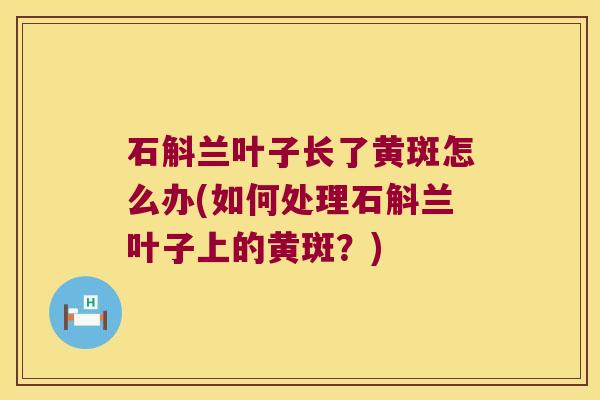 石斛兰叶子长了黄斑怎么办(如何处理石斛兰叶子上的黄斑?) 石斛兰叶子长了黄斑怎么办(如何处理石斛兰叶子上的黄斑?)