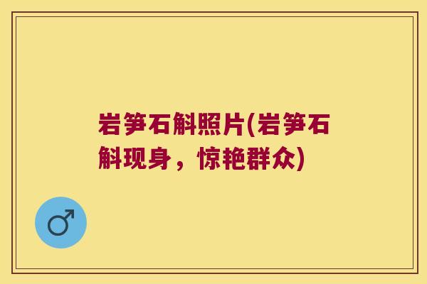 岩笋石斛照片(岩笋石斛现身，惊艳群众)
