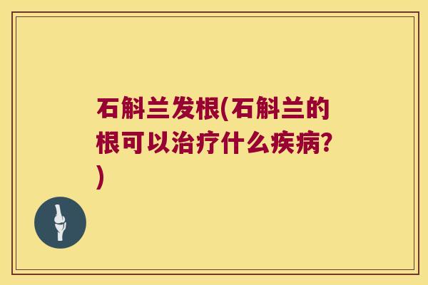 石斛兰发根(石斛兰的根可以什么？)