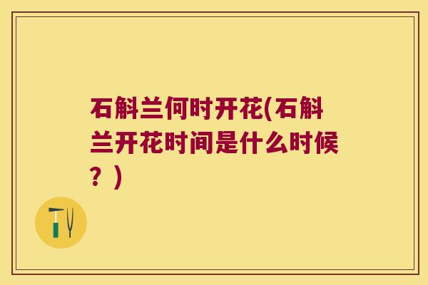 石斛兰何时开花(石斛兰开花时间是什么时候？)