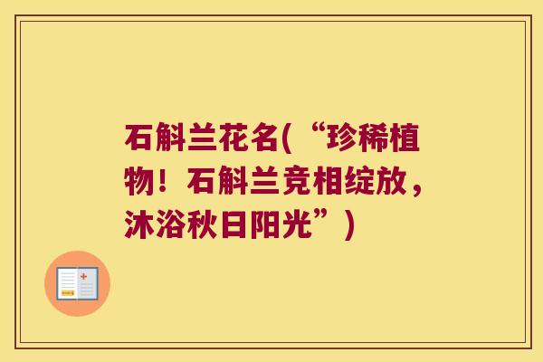 石斛兰花名(“珍稀植物！石斛兰竞相绽放，沐浴秋日阳光”)