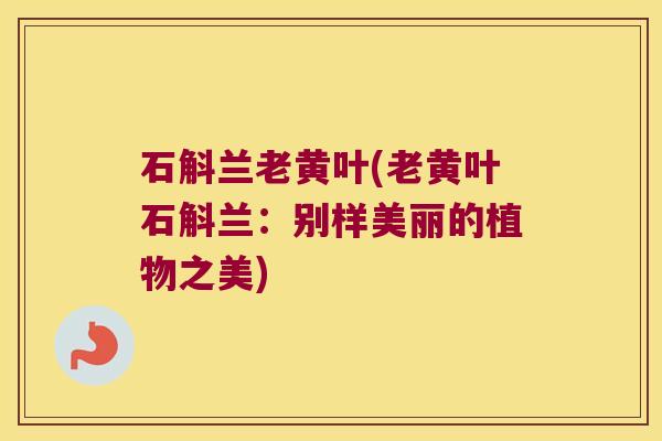 石斛兰老黄叶(老黄叶石斛兰：别样美丽的植物之美)