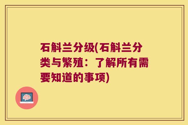 石斛兰分级(石斛兰分类与繁殖:了解所有需要知道的事项) 石斛兰分级(石斛兰分类与繁殖:了解所有需要知道的事项)