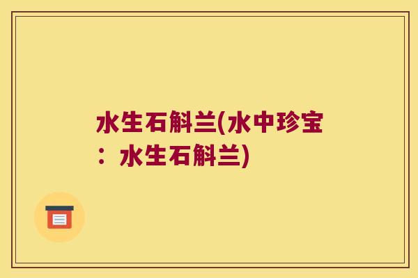 水生石斛兰(水中珍宝：水生石斛兰)