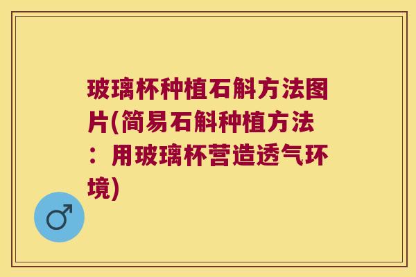 玻璃杯种植石斛方法图片(简易石斛种植方法：用玻璃杯营造透气环境)