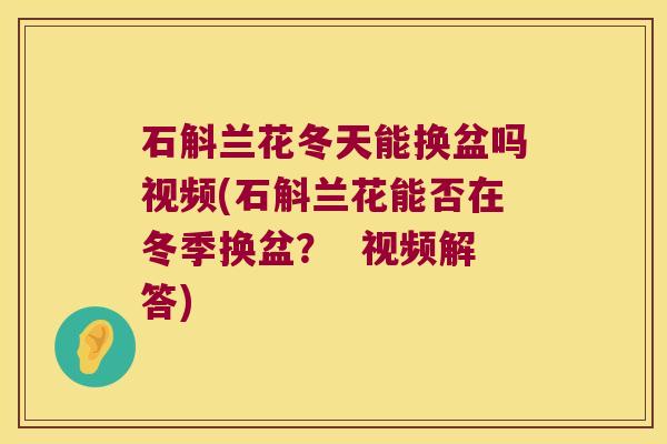 石斛兰花冬天能换盆吗视频(石斛兰花能否在冬季换盆? 视频解答) 石斛兰花冬天能换盆吗视频(石斛兰花能否在冬季换盆? 视频解答)