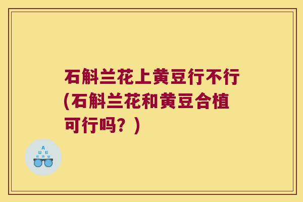 石斛兰花上黄豆行不行(石斛兰花和黄豆合植可行吗？)